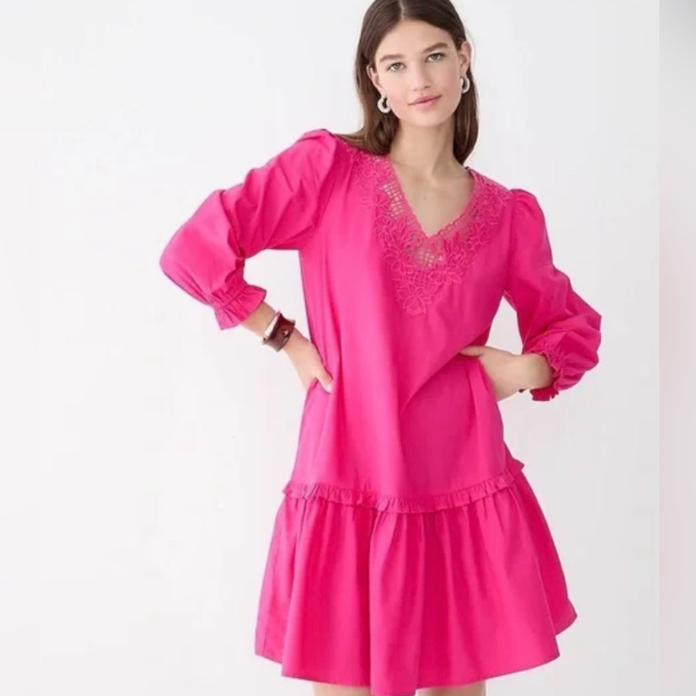J Crew Pink Embroidered V-neck Ruffle Long Sleeve Cotton Mini Dress